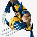 Wolverine 