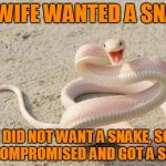 Snakememe | MY WIFE WANTED A SNAKE, I DID NOT WANT A SNAKE, SO WE COMPROMISED AND GOT A SNAKE. | image tagged in snakememe | made w/ Imgflip meme maker