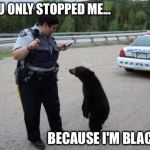 Canadian Cop | "YOU ONLY STOPPED ME... BECAUSE I'M BLACK!" | image tagged in canadian cop,bears,cute,cops,funny,police | made w/ Imgflip meme maker