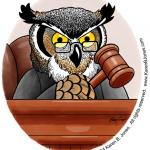 Owl Judge