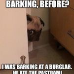 True Story. | DID YOU HEAR ME BARKING, BEFORE? I WAS BARKING AT A BURGLAR. HE ATE THE PASTRAMI OUT OF YOUR SANDWICH. | image tagged in guilty pug,dogs,memes,bad,cute,funny | made w/ Imgflip meme maker