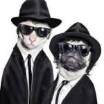 Blues Brothers Animals