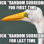 Regret Egret | CLICK "RANDOM SUBREDDIT" FOR FIRST TIME CLICK "RANDOM SUBREDDIT" FOR LAST TIME | image tagged in regret egret | made w/ Imgflip meme maker