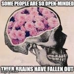 whatever happened to common sense | SOME PEOPLE ARE SO OPEN-MINDED THIER BRAINS HAVE FALLEN OUT | image tagged in brain | made w/ Imgflip meme maker