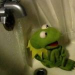 Kermit on Shower meme