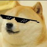 Sunglass Doge Meme Template