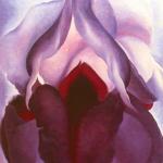 Vagina Flower