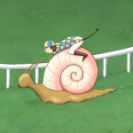 Snail Jockey
