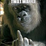 Gorilla Sushi Says | NICE TRY TWAT WAFFLE | image tagged in gorilla sushi says | made w/ Imgflip meme maker