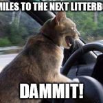 Unhelpful Cat | 35 MILES TO THE NEXT LITTERBOX? DAMMIT! | image tagged in unhelpful cat | made w/ Imgflip meme maker