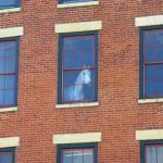 Horse on Window