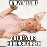 phrench girlth | DRAW ME LIKE ONE OF YOUR PHRENCH GIRLTH | image tagged in funny dog | made w/ Imgflip meme maker
