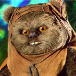 ewok