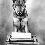 Dog Writing