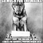 Dog Writing | DEAR HUMAN, THANK YOU SO MUCH FOR THE WALKS. I REALLY ENJOY YOU CHASING ME WHILE I CHASE THE SQUIRREL, POOPING WHERE EVER I PLEASE NO MATTER | image tagged in dog writing | made w/ Imgflip meme maker