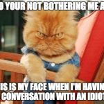 mad cat | NO! NO YOUR NOT BOTHERING ME AT ALL! THIS IS MY FACE WHEN I'M HAVING A CONVERSATION WITH AN IDIOT | image tagged in mad cat,cat | made w/ Imgflip meme maker