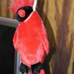 Hanging Cardinal