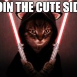 Sith Kitten | JOIN THE CUTE SIDE | image tagged in sith kitten | made w/ Imgflip meme maker