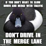 Angry mallard | IF  YOU  DON'T  WANT  TO  SLOW DOWN  AND  MERGE  WITH  TRAFFIC DON'T DRIVE  IN THE  MERGE  LANE | image tagged in angry mallard | made w/ Imgflip meme maker