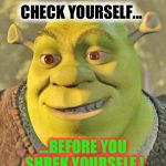 Shrek | CHECK YOURSELF... ...BEFORE YOU SHREK YOURSELF ! | image tagged in shrek | made w/ Imgflip meme maker