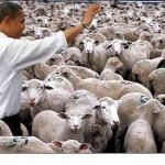 obama and his voters