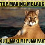 punny puma | STOP MAKING ME LAUGH YOU'LL MAKE ME PUMA PANTS | image tagged in punny puma | made w/ Imgflip meme maker