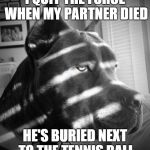 Noir Dog | I QUIT THE FORCE WHEN MY PARTNER DIED HE'S BURIED NEXT TO THE TENNIS BALL | image tagged in noir dog | made w/ Imgflip meme maker