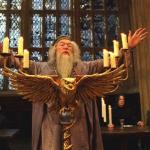 Dumbledore_Silence