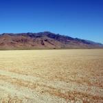 Desert Large dry