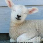 I Is Lamb | ISLAM? YES, I IS LAMB | image tagged in i is lamb | made w/ Imgflip meme maker