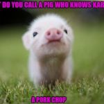 piglet | WHAT DO YOU CALL A PIG WHO KNOWS KARATE? A PORK CHOP | image tagged in piglet | made w/ Imgflip meme maker