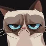 Grumpy Cat Cartoon meme