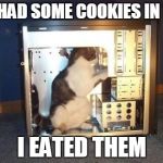 cat in computer | YOU HAD SOME COOKIES IN HERE I EATED THEM | image tagged in cat in computer | made w/ Imgflip meme maker
