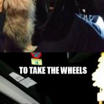 Driving Cat | PEOPLE ALWAYS HAVE TOLD ME THAT THE MOST IMPORTANT THING IN LIFE IS... TO TAKE THE WHEELS | image tagged in driving cat | made w/ Imgflip meme maker