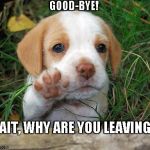 dog puppy bye Meme Generator - Imgflip