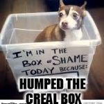 box of shame | HUMPED THE CREAL BOX | image tagged in box of shame | made w/ Imgflip meme maker