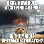 Selfie cat | OKAY, HOW DOES A CAT FIND AN IPAD IN THE MIDDLE OF TEAM DEATHMATCH? | image tagged in memes,cats,selfie,call of duty | made w/ Imgflip meme maker