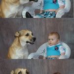 Smelly | ONE OF US POOPED.... | image tagged in dadjoke dog,funny memes,dogs,funny,baby | made w/ Imgflip meme maker