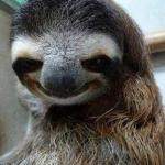 Rape Sloth 2