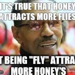 The Fly  | IT'S TRUE THAT HONEY ATTRACTS MORE FLIES BUT BEING "FLY" ATTRACTS MORE HONEY'S | image tagged in the fly | made w/ Imgflip meme maker