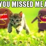 Kittens Running from Domo | "HAHA YOU MISSED ME AGAIN!" | image tagged in kittens running from domo | made w/ Imgflip meme maker