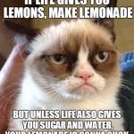 Grumpy Cat Reverse Meme | IF LIFE GIVES YOU LEMONS, MAKE LEMONADE BUT UNLESS LIFE ALSO GIVES YOU SUGAR AND WATER, YOUR LEMONADE IS GONNA SUCK. | image tagged in memes,grumpy cat reverse,grumpy cat | made w/ Imgflip meme maker