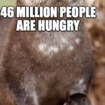 Disapproving Otter | 46 MILLION PEOPLE ARE HUNGRY AND YOUR THROWING FOOD AWAY | image tagged in disapproving otter | made w/ Imgflip meme maker