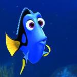 dory