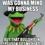 Gangsta Kermit | WAS GONNA MIND MY BUSINESS BUT THAT BULLSHIT IN FERGUSON GOT ME HEATED | image tagged in gangsta kermit | made w/ Imgflip meme maker