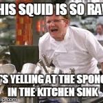 Gordon ramsey | THIS SQUID IS SO RAW IT'S YELLING AT THE SPONGE IN THE KITCHEN SINK | image tagged in gordon ramsey,spongebob,patrick,squidward,cooking,angry chef gordon ramsay | made w/ Imgflip meme maker