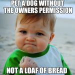 Success Baby | PET A DOG WITHOUT THE OWNERS PERMISSION NOT A LOAF OF BREAD | image tagged in success baby | made w/ Imgflip meme maker