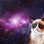 galaxy grumpy cat meme