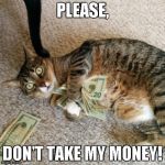 money cat | PLEASE, DON'T TAKE MY MONEY! | image tagged in money cat | made w/ Imgflip meme maker