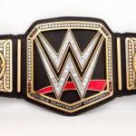 wwetitle